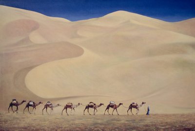Camel Train by Tilly Willis